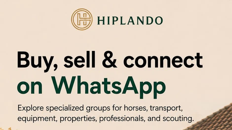 The Hiplando WhatsApp Channel: Buy, Sell and Connect Worldwide