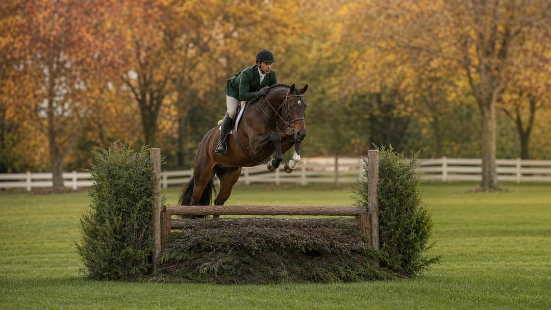 Hiplando specialist helping a buyer select a suitable horse.